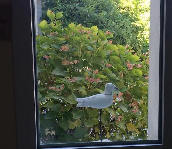 La Terrasse Du Verger Carquefou